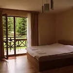 Northstar In Mountain