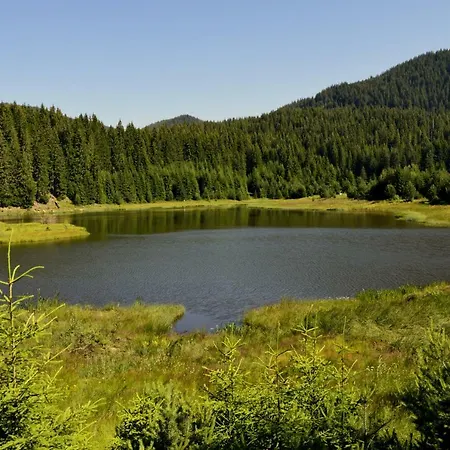 Apartman Northstar In Mountain *